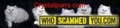 Scam - Crystalpurrs Cattery AKA Nectar & Trinket Catteries