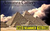 Scam - Katie Grashel of Amunra Cattery